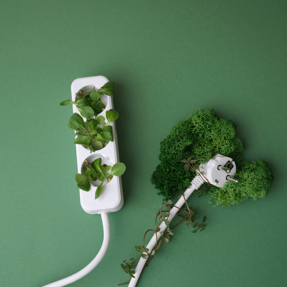 Hoe klus je duurzaam in&nbsp;2024